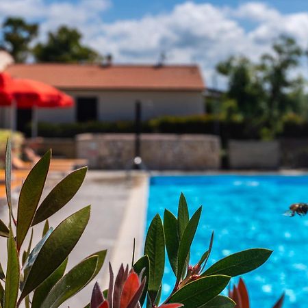 Agriturismo Il Tripesce Vada Kültér fotó