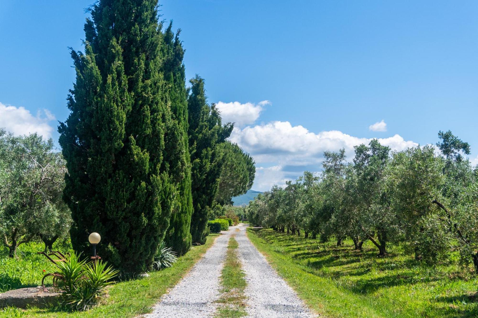 Agriturismo Il Tripesce Vada Kültér fotó