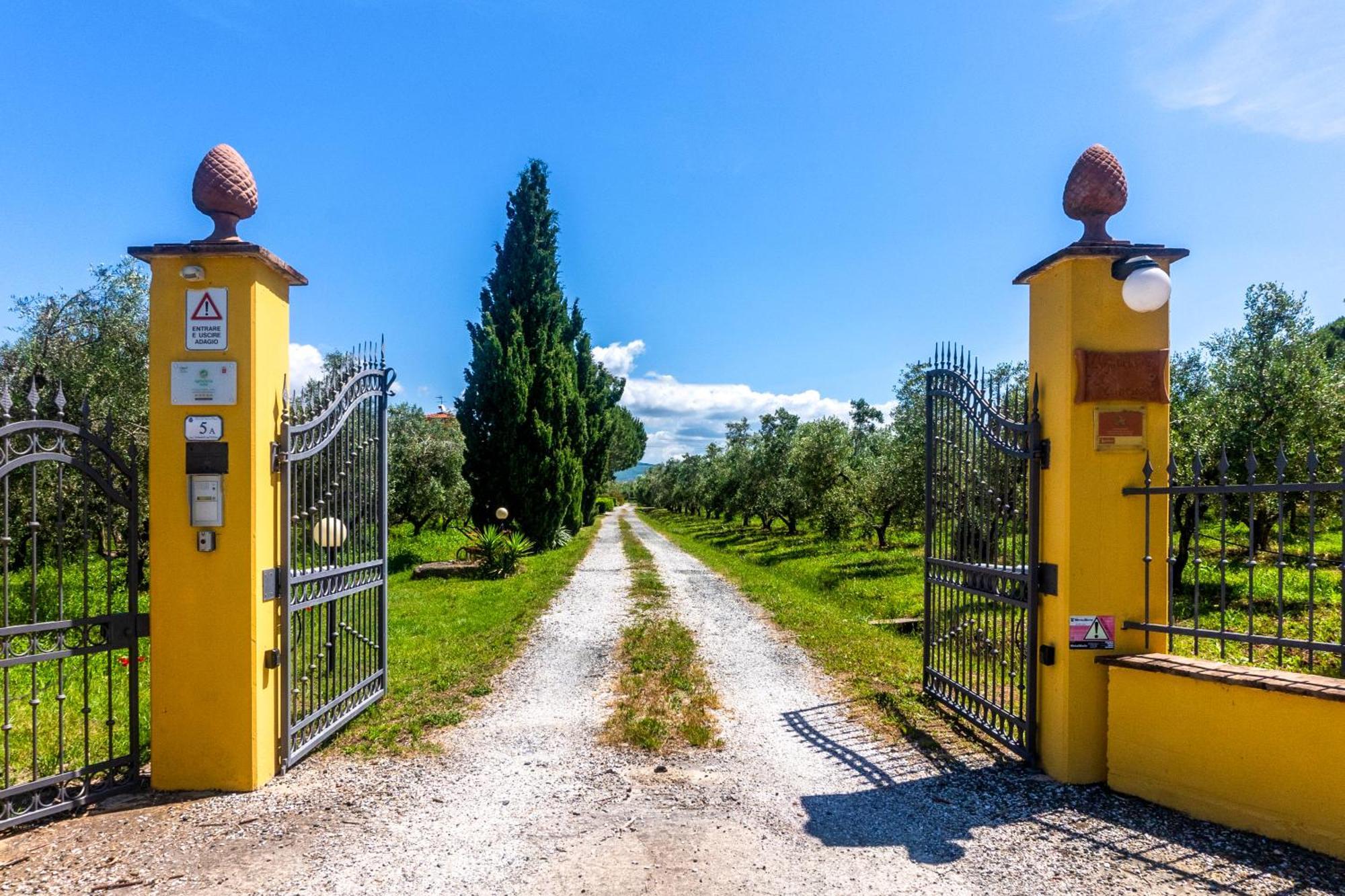 Agriturismo Il Tripesce Vada Kültér fotó