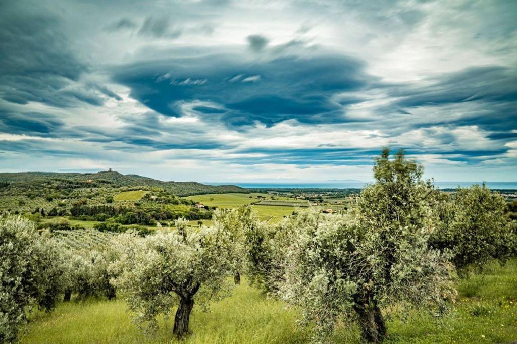 Agriturismo Il Tripesce Vada Kültér fotó