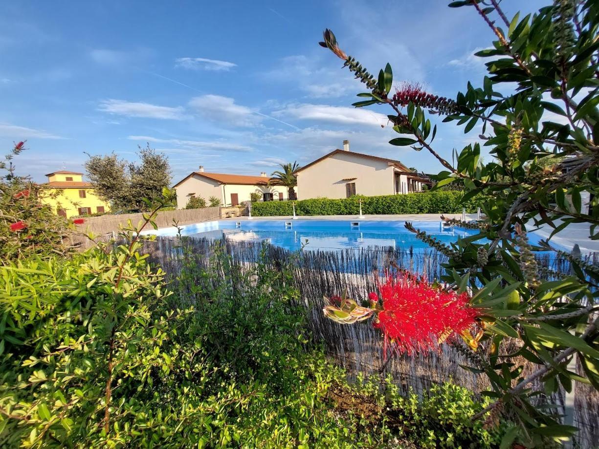 Agriturismo Il Tripesce Vada Kültér fotó