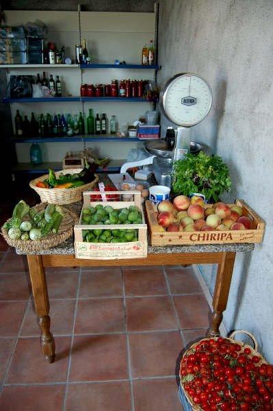 Agriturismo Il Tripesce Vada Kültér fotó