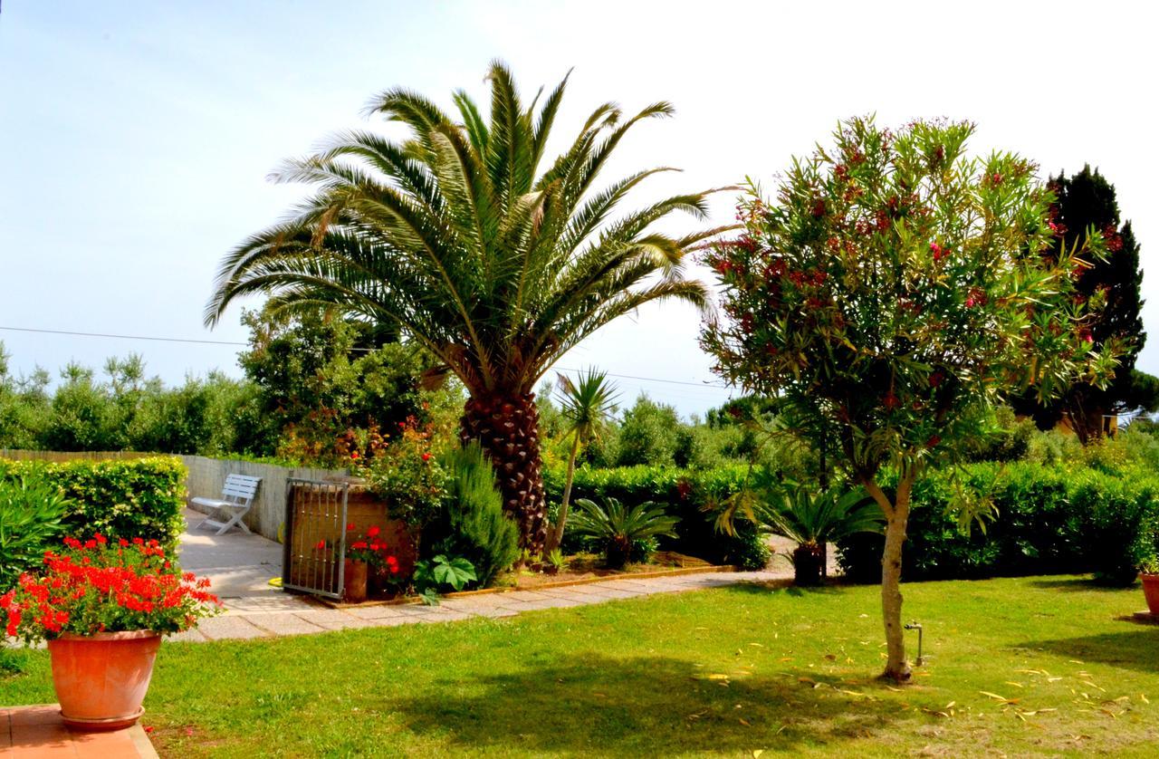 Agriturismo Il Tripesce Vada Kültér fotó
